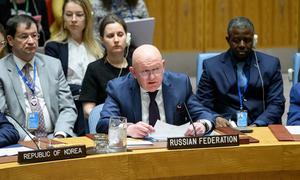 В Совбезе проходит заседание по случаю второй годовщины полномасштабной войны в Украине