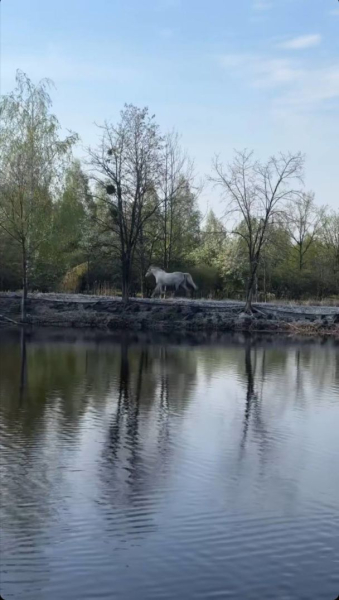 Оля Полякова показала, що вирощує на своєму городі