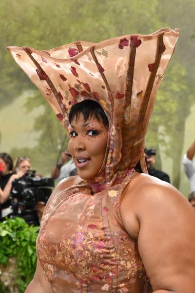 Бал і я: контраверсійні образи краси знаменитостей на Met Gala 2024