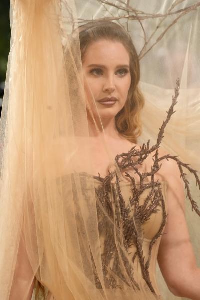 Найрадикальніші перетворення зірок для Met Gala 2024
