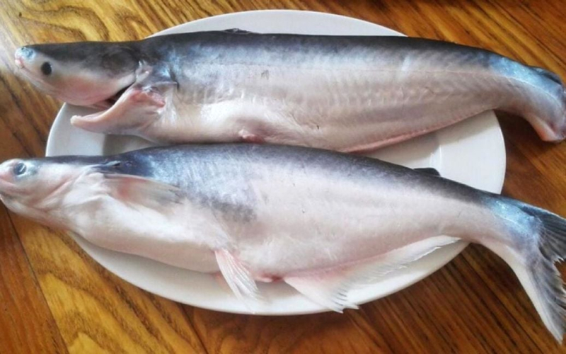 nazvano-ribu-jaku-kategorichno-ne-mozhna-yisti-hocha-yiyi-prodajut-v-usih-supermarketah-c40b49a-6547736-jpg