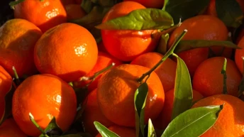 7 продуктів, багатих на вітамін D, які варто терміново додати до весняного раціону