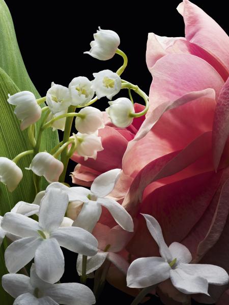 Аромат, що виходить раз на рік: Muguet Guerlain 2025