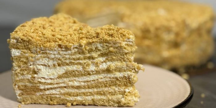 Медовик без розкатки коржів &mdash; лінивий рецепт