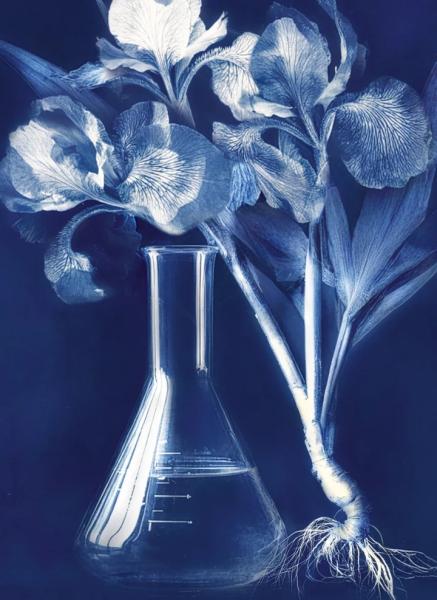 Guerlain переосмислює легендарний аромат L'Heure Bleu 1912 року